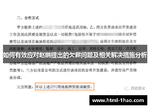 如何有效应对赵鹏提出的欠薪问题及相关解决措施分析