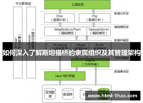 如何深入了解斯坦福桥的隶属组织及其管理架构