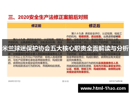 米兰球迷保护协会五大核心职责全面解读与分析 米兰球迷保护协会五大核心职责全面解读与分析
