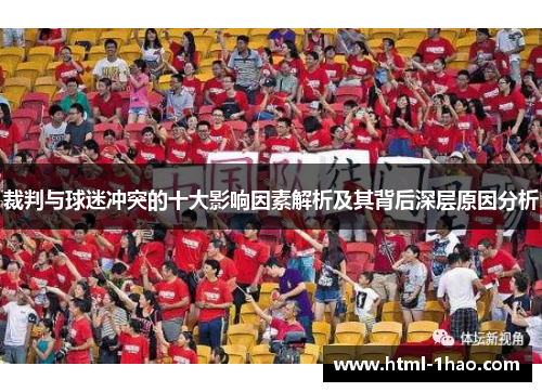 裁判与球迷冲突的十大影响因素解析及其背后深层原因分析