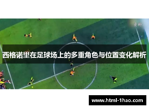 西格诺里在足球场上的多重角色与位置变化解析 西格诺里在足球场上的多重角色与位置变化解析