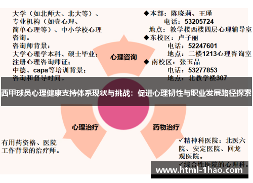 西甲球员心理健康支持体系现状与挑战:促进心理韧性与职业发展路径探索 西甲球员心理健康支持体系现状与挑战:促进心理韧性与职业发展路径探索