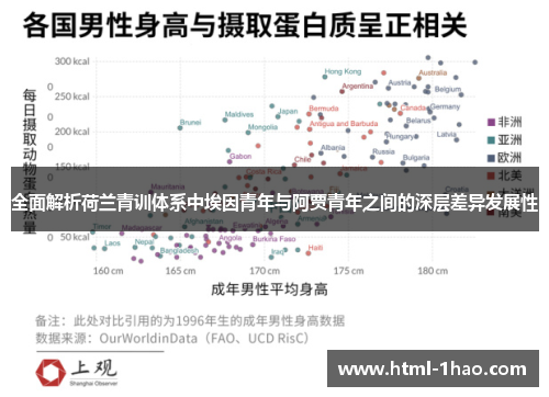 全面解析荷兰青训体系中埃因青年与阿贾青年之间的深层差异发展性