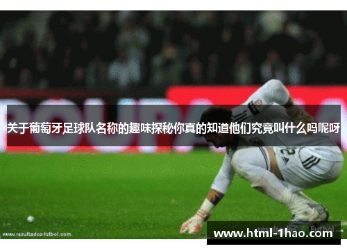 关于葡萄牙足球队名称的趣味探秘你真的知道他们究竟叫什么吗呢呀