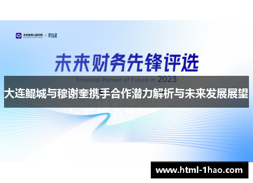 大连鲲城与穆谢奎携手合作潜力解析与未来发展展望