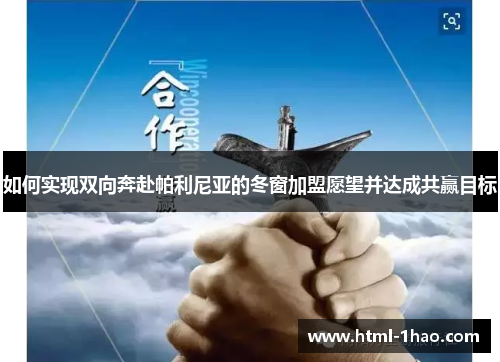 如何实现双向奔赴帕利尼亚的冬窗加盟愿望并达成共赢目标 如何实现双向奔赴帕利尼亚的冬窗加盟愿望并达成共赢目标