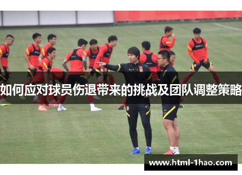 如何应对球员伤退带来的挑战及团队调整策略