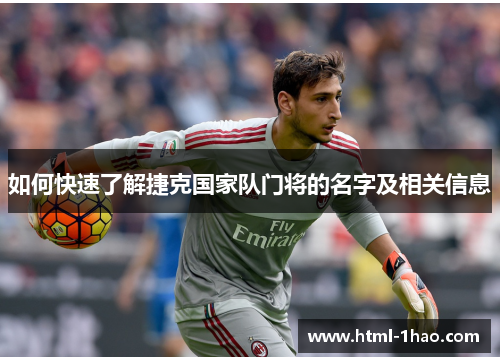 如何快速了解捷克国家队门将的名字及相关信息