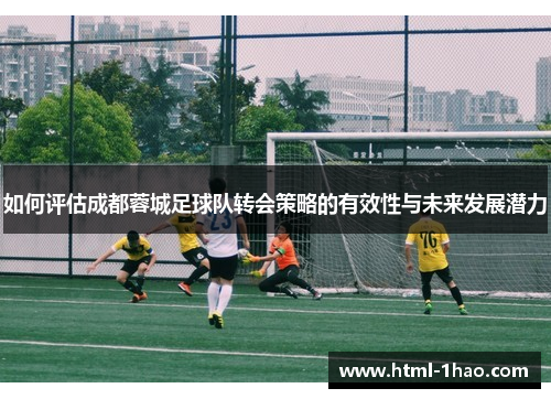 如何评估成都蓉城足球队转会策略的有效性与未来发展潜力